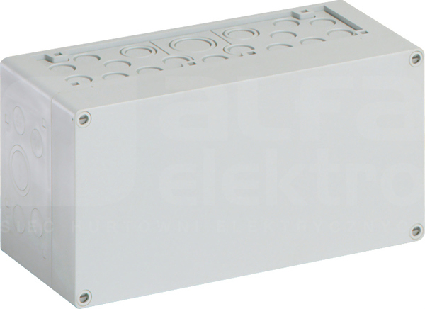 AKL 1-G 150x300x132 IP65 Obudowa pusta