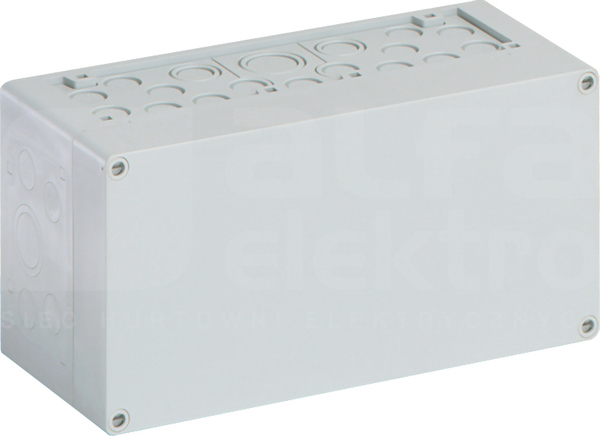 AKI 1-G 300x150x132 IP65 Obudowa pusta