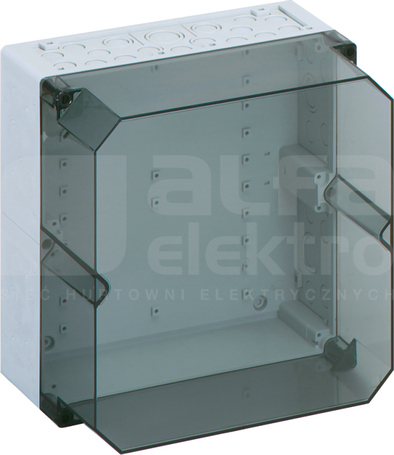 AKL 2-TH 300x300x210 IP65 Obudowa pusta