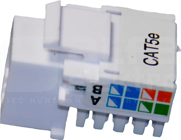 Moduł KEYSTONE kat.5e RJ45 8p8c Szafa 19 akcesoria
