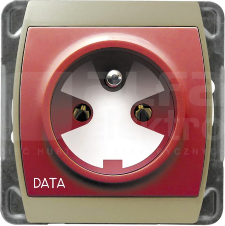GAZELA 2P+Z DATA IP20 satyn/satyn Gniazdo pojedyncze