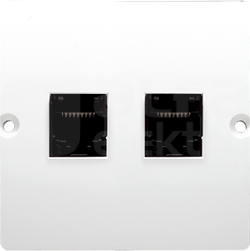 BASIC/M 2xRJ45 kat5e biały Gniazdo komputerowe