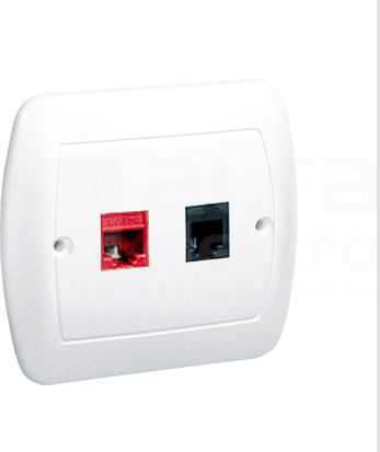 AKORD 1xRJ45+1xRJ11 biały Gniazdo komputerowe/telefoniczne