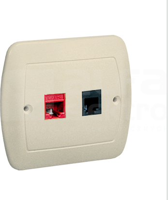 AKORD 1xRJ45+1xRJ11 beżowy Gniazdo komputerowe/telefoniczne