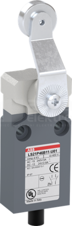 LS21P46B11-U01 Wyłącznik krańcowy
