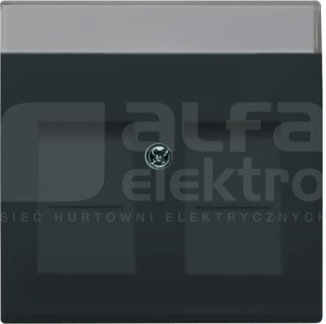 1800-81 FUTURE LINEAR POKRYWA GN.2xRJ ANTRACYT