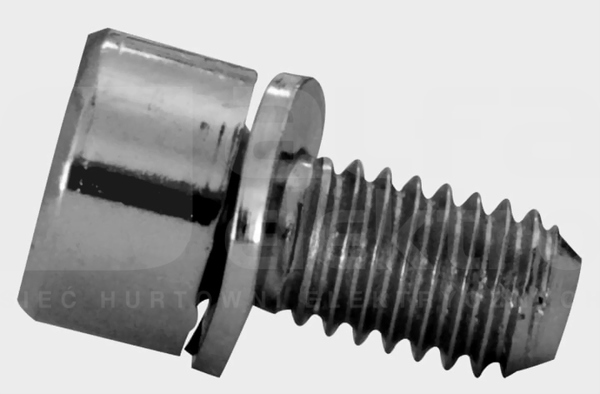 ZX258P10 ŚRUBA M6x12 (10szt) Rozdzielnica-akcesoria
