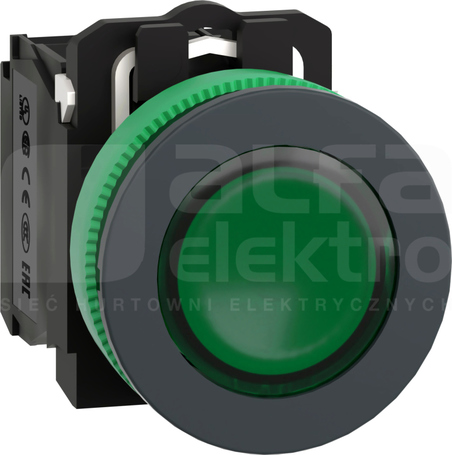 XB5FW33B5 fi30 24V 1NO+1NC zielony Przycisk płaski podświetlany LED