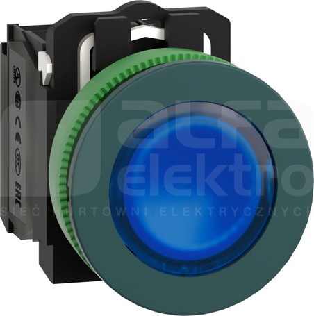 XB5FW36B5 fi30 24V 1NO+1NC niebieski Przycisk płaski podświetlany LED