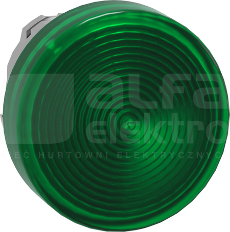 ZB4BV033S*Z WBUDOW.LED ZIELO Głowica wskaźn.SW.do korpusu