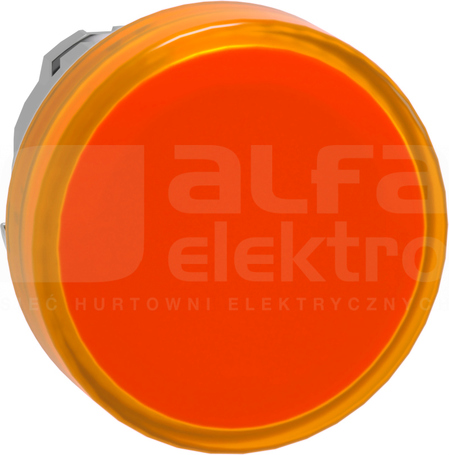 ZB4BV053E GŁOWICA LAMPKI