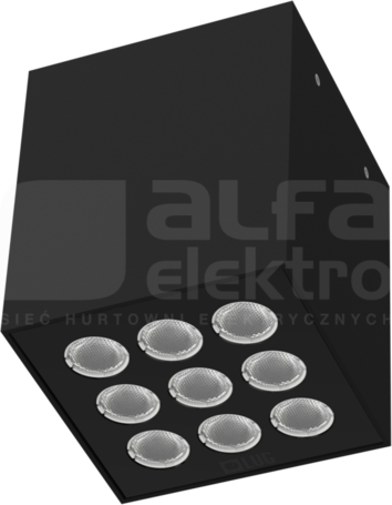 ICE CUBE 2.0 n/t ED 1250lm 4000K IP65 58° czarny Oprawa led