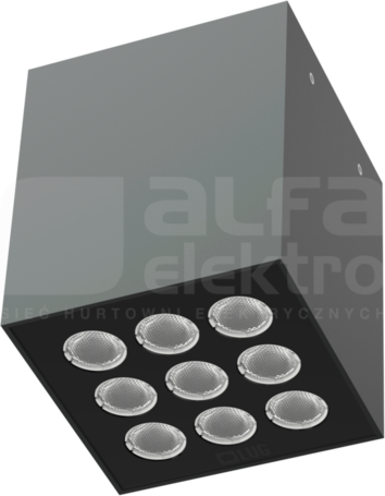 ICE CUBE 2.0 n/t ED 1250lm/840 58D IP65 szary Oprawa LED