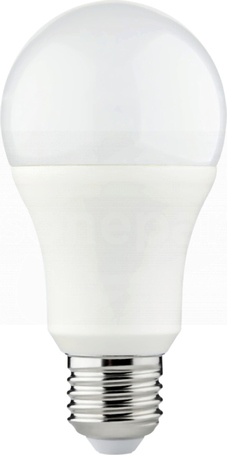 IQ-LED A60 11W/965 1521lm E27 Źródło LED (D)