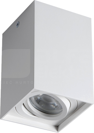 GORD XS DLP-50-W Oprawa sufitowa
