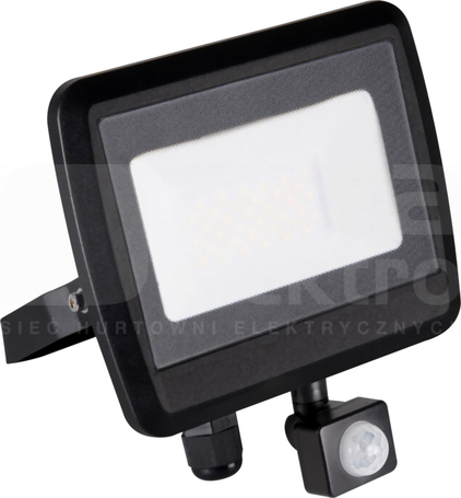 ANTEM LED 30W 4000K 2400lm IP44 czarny Naświetlacz LED z czujnikiem ruchu (F)