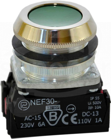 NEF30-Kz 2Y zielony Przycisk sterowniczy kryty