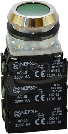 NEF30-Kz 4X2Y zielony Przycisk sterowniczy kryty