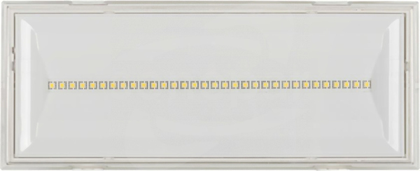 NexiTech LED 1000lm 1h CGLINE+ IP65 Oprawa awaryjna