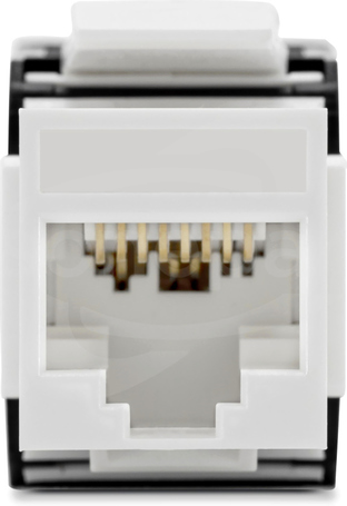 RJ45 kat.6A UTP beznarzędziowy Moduł keystone