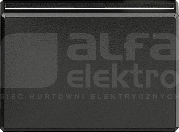 AXOLUTE 2M antracyt Plakietka łącznika hotelowego