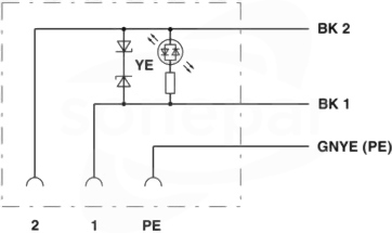 SAC-3P-2,5-116/BI-1L-Z 180 Kabel czujnika/urządzenia wykonawczego