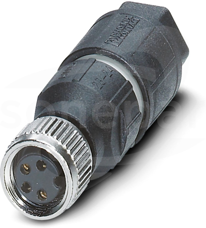 SACC-M8FS-4QO-0,50-M M8 4P Wtyk żeński prosty