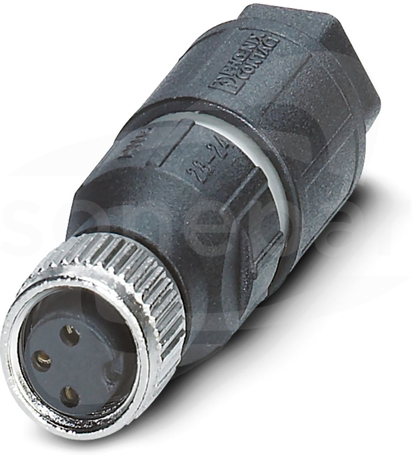 SACC-M8FS-3QO-0,25-M M8 3P Wtyk żeński prosty