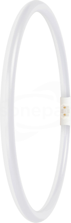 LED T5 FC40/55 EXT P 21.5W 840 2GX13 3200lm Tuba LED kołowa 300mm (D)