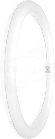 SubstiTUBE T9 C 32 EM 18.3W/840 G10q 2200lm Świetlówka  LED kołowa (E)