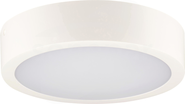 DABER 12-20W CCT W IP66 Plafon LED