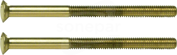 Berker TS M3,5 x 50mm złoty Śruba z dwoma otworami
