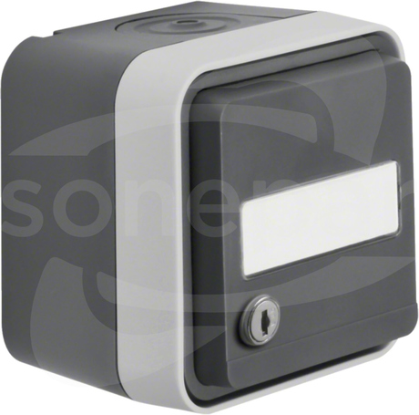 W.1 szary IP55 Gniazdo SCHUKO na klucz