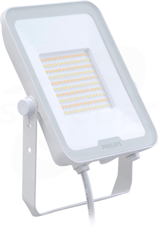 BVP167 LED60 50W 830 840 865 6000lm SWB IP65 biały Naświetlacz LED LEDINAIRE