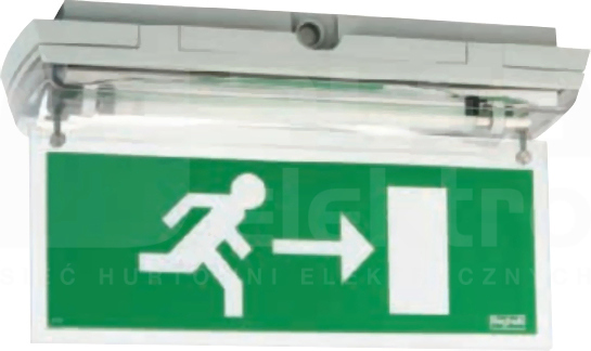 LOGICA SIGN LG 24W SE 1-3P IP65 Oprawa awaryjna+pikt