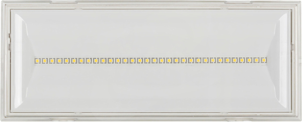NexiTech LED 1000lm 1h CGLINE+ IP65 Oprawa awaryjna
