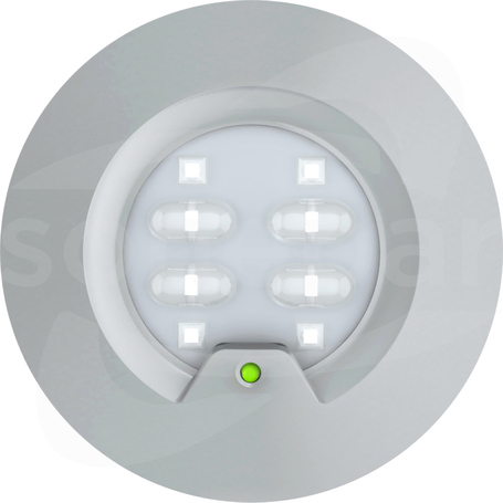 ROUNDTECH EFOCUS CGL+200MNM 1H IP65 Oprawa LED awaryjna P/T