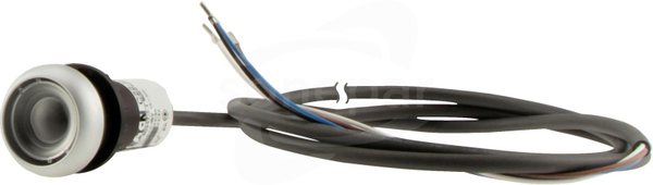 C22-D-X-K11-P62 Przycisk