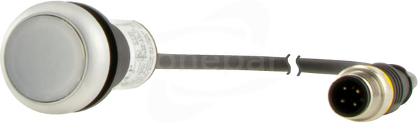 C22-DL-W-K10-24-P1 Lampka z przewodem