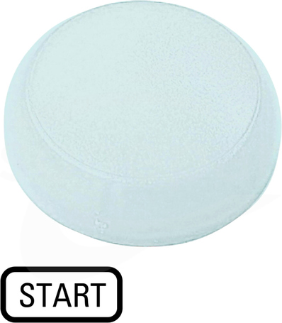 M22-XL-W-GB1 Soczewka do lampek