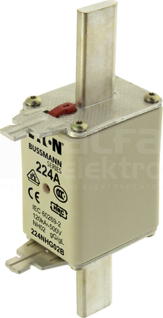 WT/NH-02 gL/gG 100A 500V Wkładka bezpiecznikowa NH podw.wskaźnik