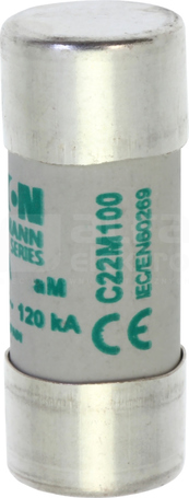 CH22x58 aM 100A 500VAC Wkładka topikowa cylindryczna