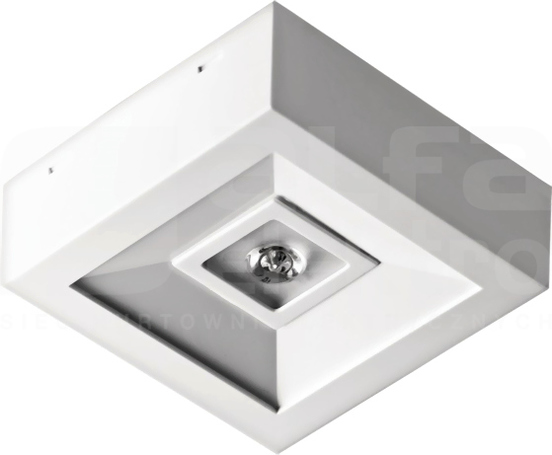 NESO N/T LED 3W 1h NH biały Oprawa LED awaryjna natynkowa