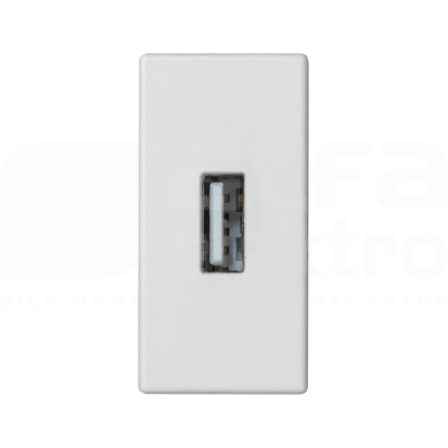 CONNECT czysty biały Płytka złącza USB+gniazdo