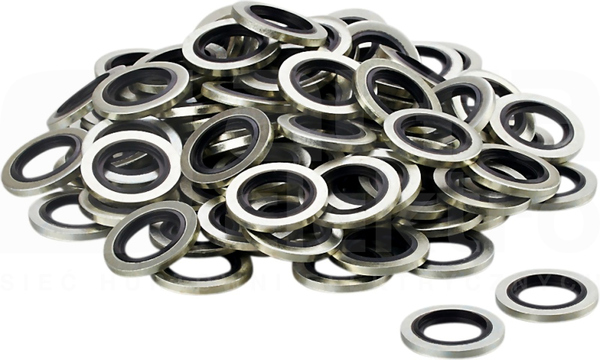 HYDRAULIC-SEALING RG 100P G1/4 Pierścień uszczelniający