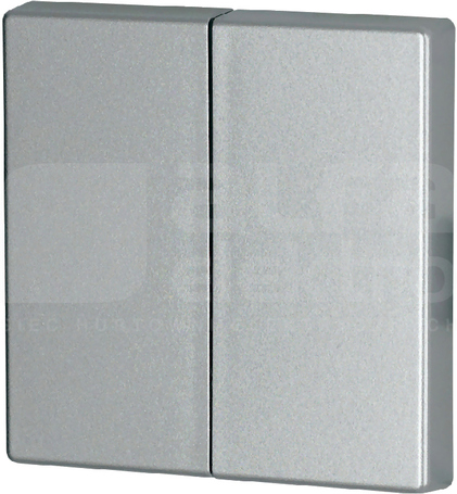 CWIZ-02/03 srebrny Klawisz podw.55x55mm