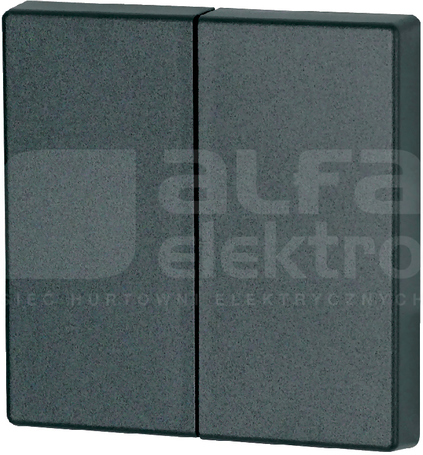 CWIZ-02/04 antracyt Klawisz podw.55x55mm