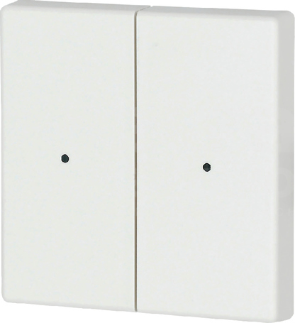 CWIZ-02/01-LED biały Klawisz podwójny 55x55mm