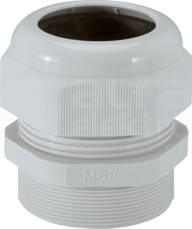 M63 RAL7035 IP55 Dławnica