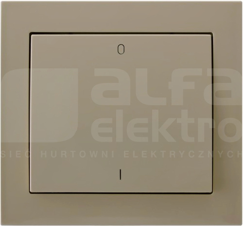 KIER 10AX IP20 beżowy Łącznik dwubiegunowy